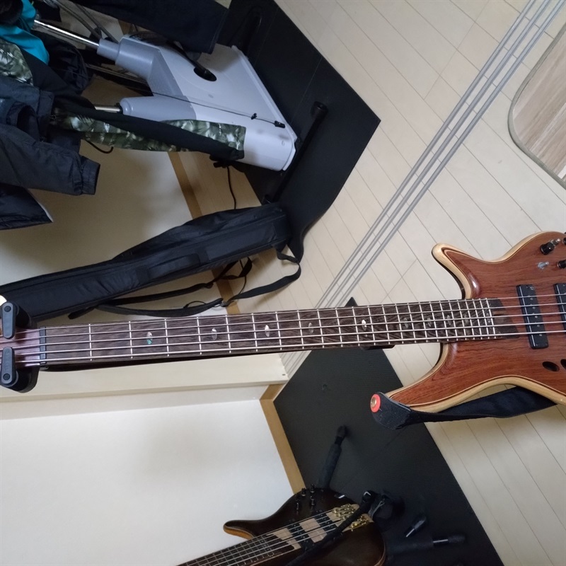 Ibanez SR30TH5Pの画像